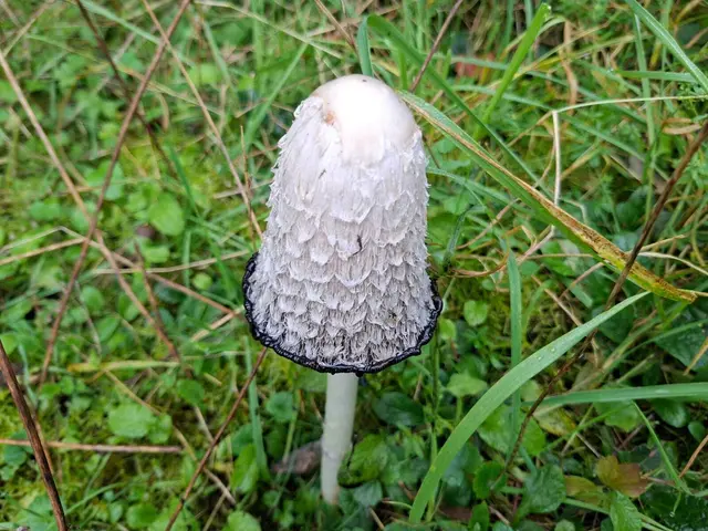 Herbstlich unterwegs🍂🍁🍂 | Foto: Ralf Röser