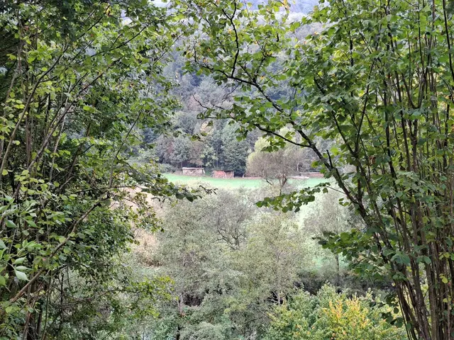 Herbstlich unterwegs🍂🍁🍂 | Foto: Ralf Röser