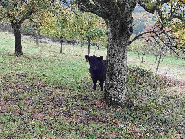 Landschaftspfleger bei der Arbeit | Foto: Thomas Raisig