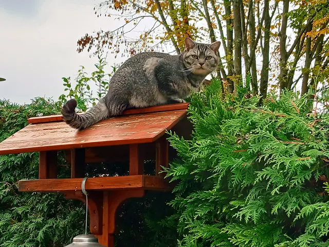 Hä, hast du's nicht verstanden? Ich bleib da und warte.... | Foto: sigischlottke