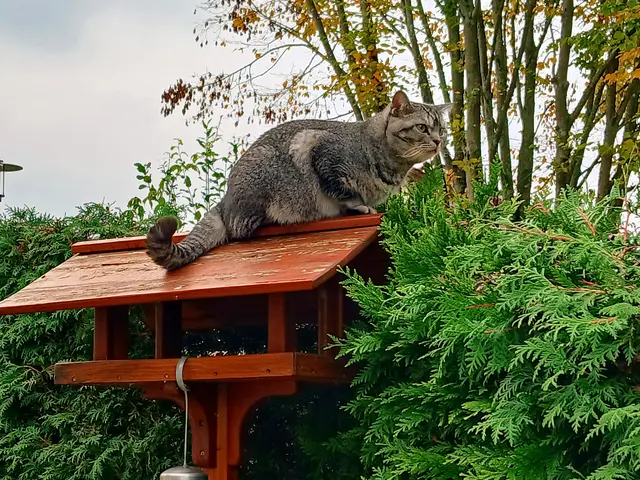 Das geht mich gar nix an, was du da sagst.  | Foto: sigischlottke