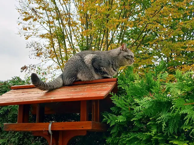 Lass mich bloß in Ruhe - ich geh da nicht runter.  | Foto: sigischlottke