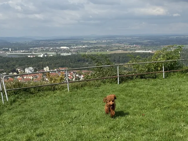 Foto: Heide Böllinger aus Bad Friedrichshall