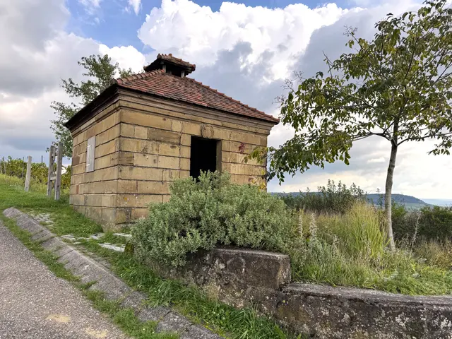 Foto: Heide Böllinger aus Bad Friedrichshall