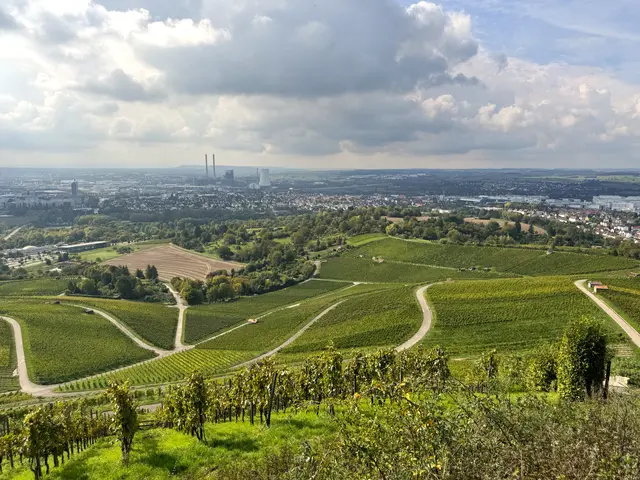 Foto: Heide Böllinger aus Bad Friedrichshall