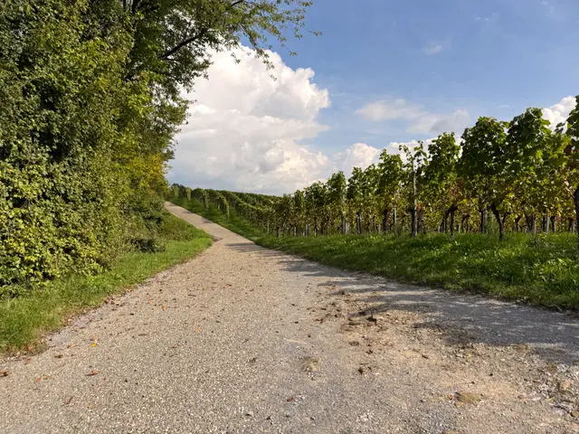 Foto: Heide Böllinger aus Bad Friedrichshall