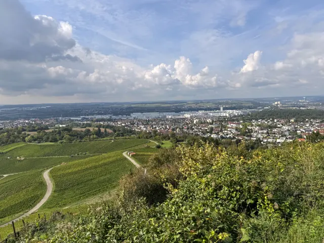 Foto: Heide Böllinger aus Bad Friedrichshall