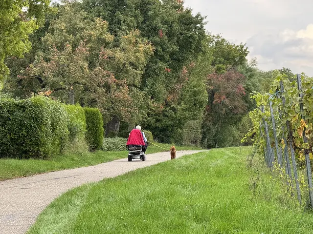 Foto: Heide Böllinger aus Bad Friedrichshall