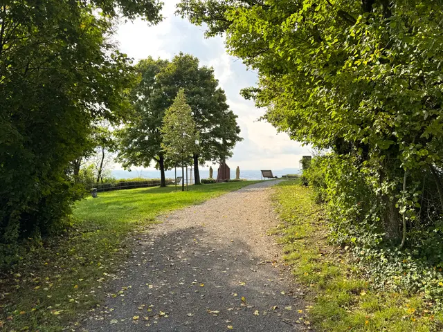 Foto: Heide Böllinger aus Bad Friedrichshall