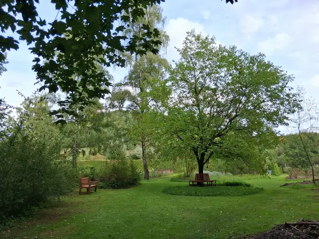 Im Heilkräutergarten bei WALA gibt es eine Vielzahl von Pflanzen und schöne Ruheplätze | Foto: Foto privat