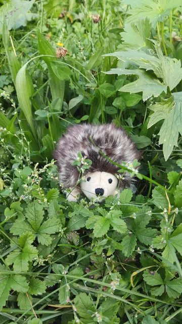 Theodor bricht auf. | Foto: NLFH