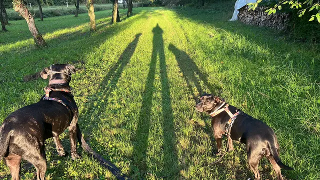 Foto: Uwe, Lilou und Pino