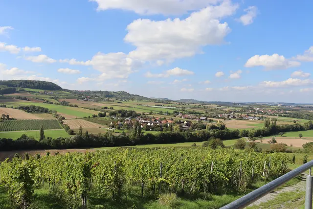 Blick nach Oberhöfen | Foto: Marga Specht
