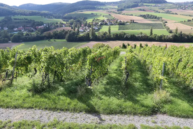 Blick ins Steinbacher Tal | Foto: Marga Specht