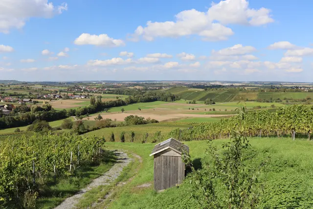 Fernblick von der Aussichtsplattform bis in den Odenwald | Foto: Marga Specht