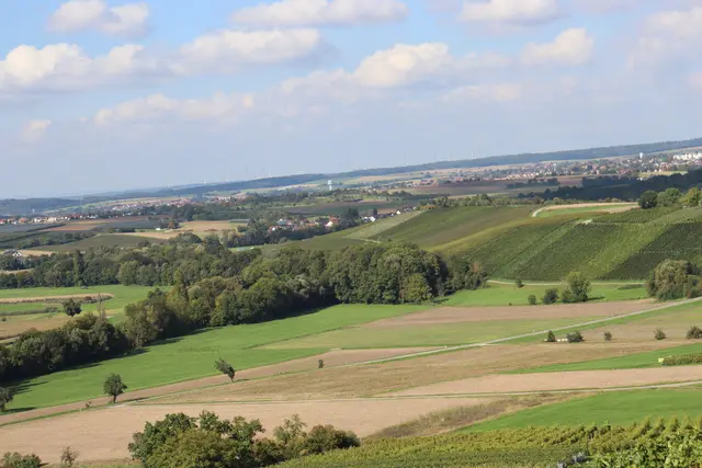 Blick nach Öhringen von der Aussichtsplattform  | Foto: Marga Specht
