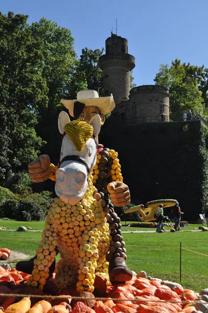 Lucky Luke.  | Foto: Daniela Somers