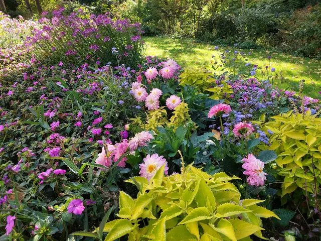 Wunderschöne Beete begleiten die Besucher durch die weitläufige Parkanlage. | Foto: Foto privat