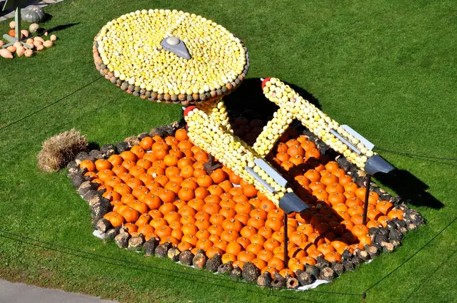 Raumschiff Enterprise von der Emichsburg aus gesehen. | Foto: Daniela Somers