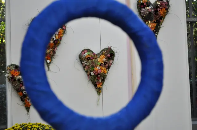 Durch diese Ringe ergeben sich immer wieder interessante Motive. | Foto: Daniela Somers