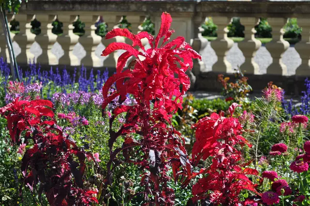 Am Schloss vorbei mit seinen schönen Staudenbeeten gehts dann zum Friedrichsgarten. | Foto: Daniela Somers