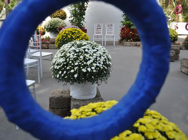 Durch diese Ringe ergeben sich immer wieder interessante Motive. | Foto: Daniela Somers