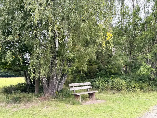 Foto: Heide Böllinger aus Bad Friedrichshall