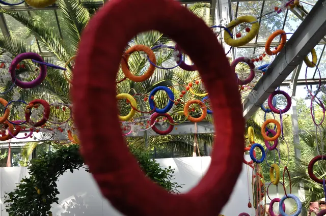 Durch diese Ringe ergeben sich immer wieder interessante Motive. | Foto: Daniela Somers