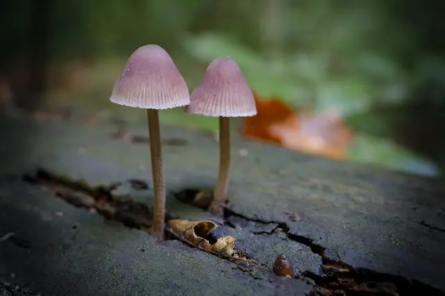 Foto: c uschipohl