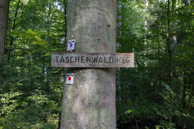 Foto: c uschipohl