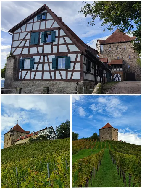 Wildeck nach Kling-Sicht | Foto: Aurelia Kling