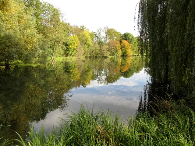 Fischteich unterhalb von Vohenlohe | Foto: WandernGabyErich