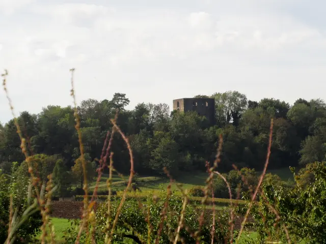 Blick auf Helfenberg, Standort unterhalb der Wildeck | Foto: WandernGabyErich