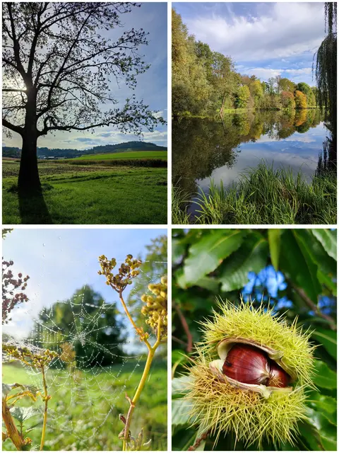 Herrlicher Herbst, bestes Wanderwetter | Foto: Aurelia Kling