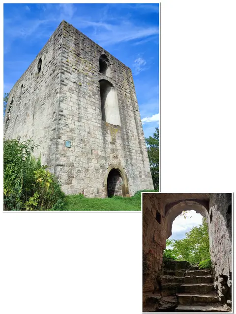 Impressionen vom Helfenberg | Foto: Aurelia Kling