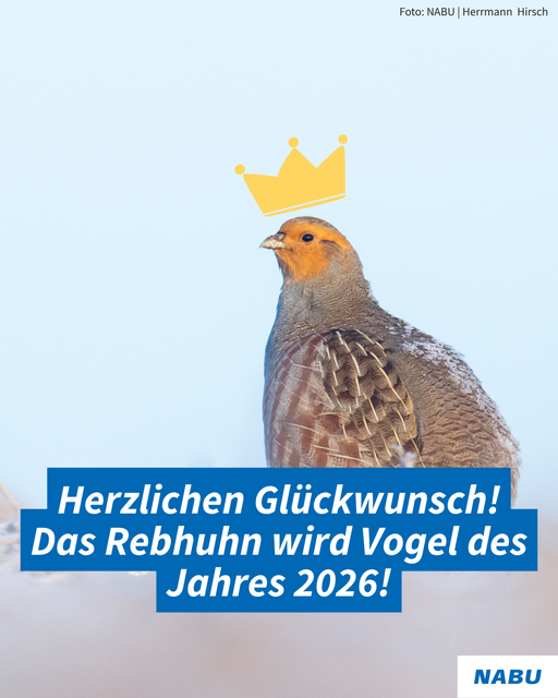 Foto: Foto: Herrmann Hirsch