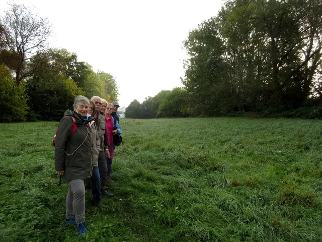 Im Talgrund der Schozach ist der Wall, der sich an der Innenseite des Landgrabens befand, zu erkennen. | Foto: WandernGabyErich