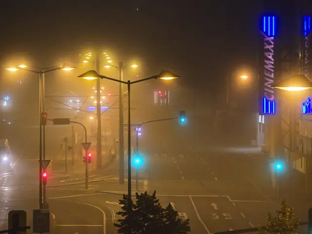 Die Nachtbilder sind zwischen 5.00 und 5.15 Uhr entstanden.     | Foto: Heidrun Rosenberger