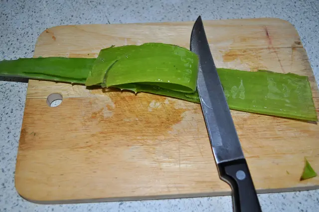 Nun lässt sich die obere Seite gut vom Gel trennen. | Foto: Daniela Somers