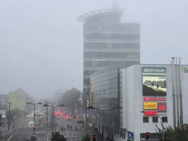8.17 Uhr hat sich der Nebel langsam aufgelöst | Foto: Heidrun Rosenberger