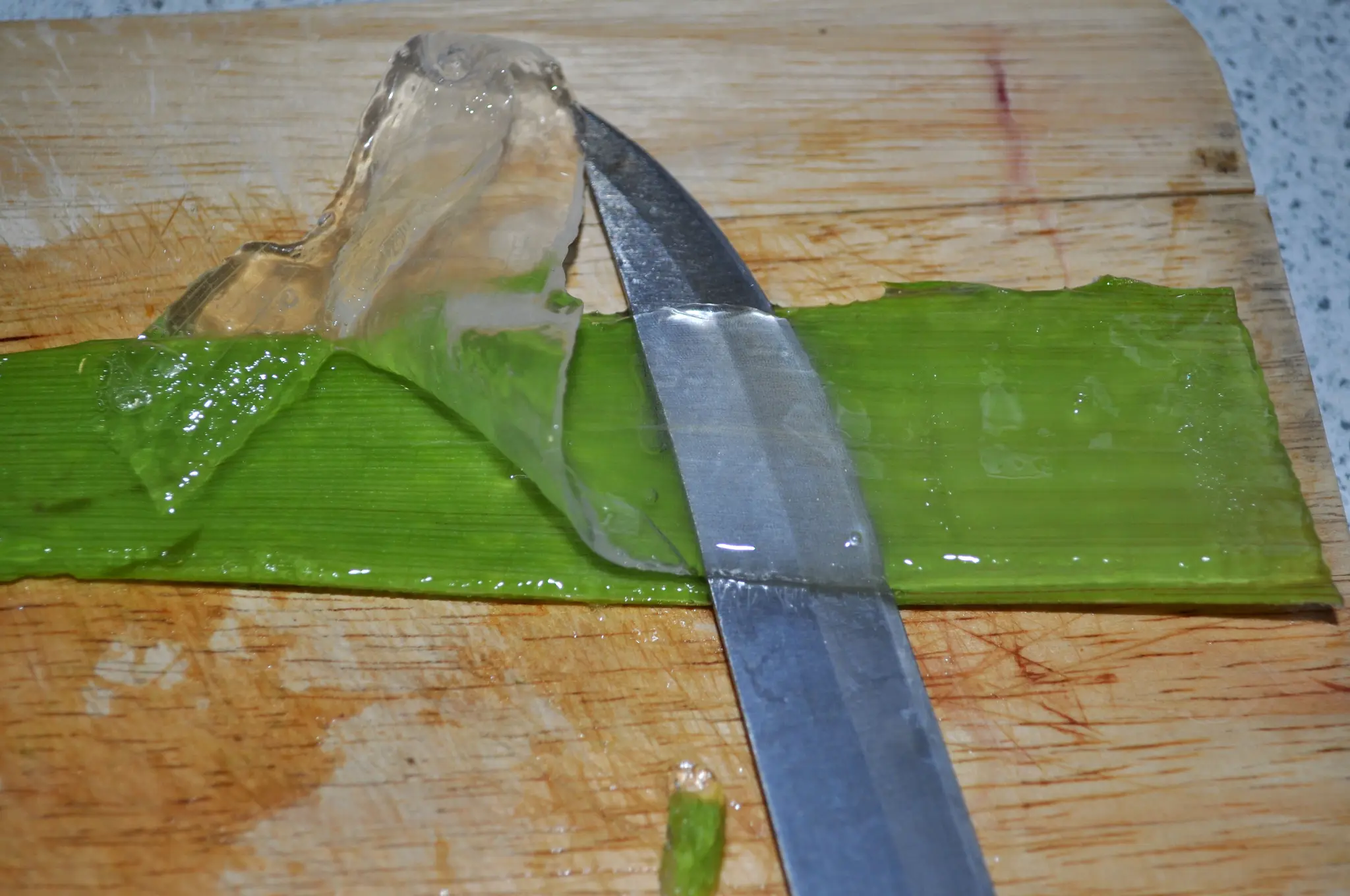 Heilpflanzen: Aloe Vera richtig benutzen. - Untergruppenbach