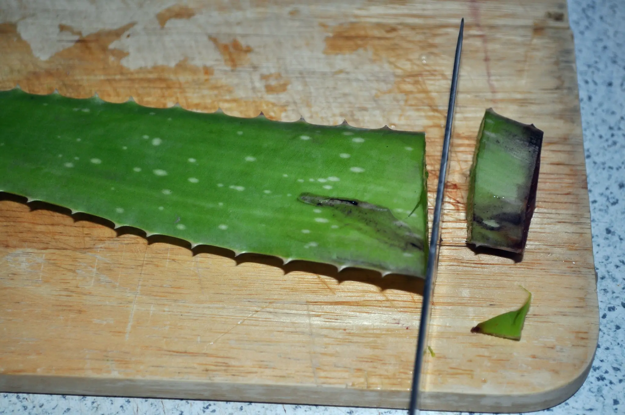 Heilpflanzen: Aloe Vera richtig benutzen. - Untergruppenbach