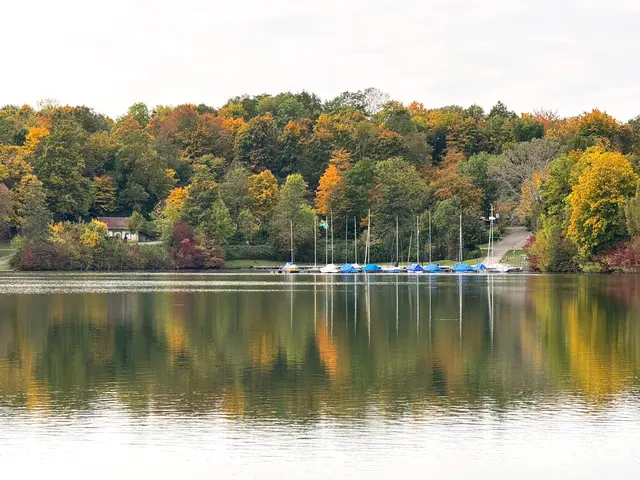 Foto: Heide Böllinger aus Bad Friedrichshall