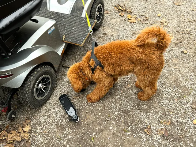 Foto: Heide Böllinger aus Bad Friedrichshall