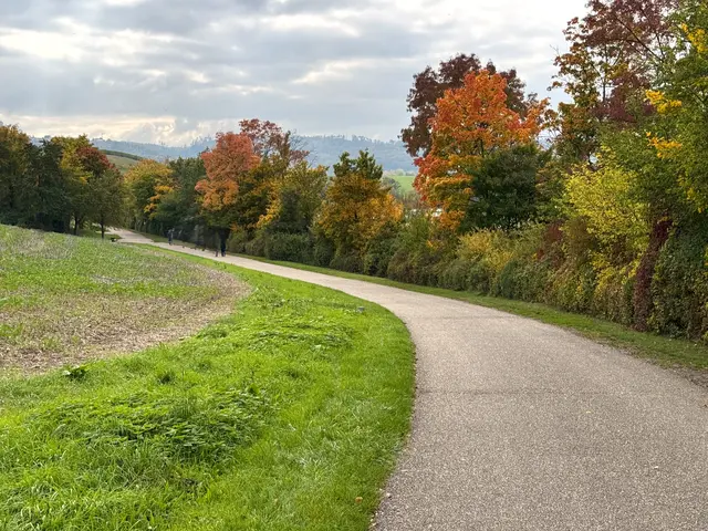 Foto: Heide Böllinger aus Bad Friedrichshall