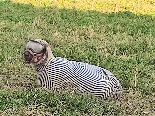 Nee, ich bin nicht mit dem Raumschiff gelandet. | Foto: Daniela Somers