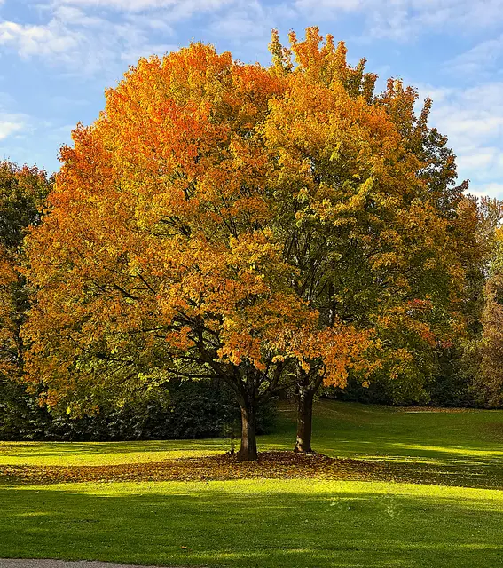 Foto: Heide Böllinger aus Bad Friedrichshall