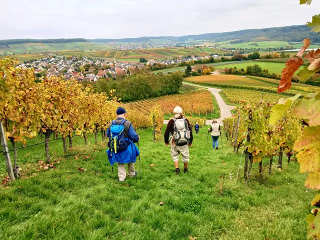 Wir mussten uns total sputen und so wurde abgekürzt. Hier geht's zwischen den Rebzeilen steil hinunter - auf dem Bild sieht es gar nicht so steil aus. | Foto: sigischlottke