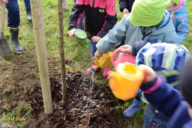 Foto: H. Stark, A. Jelinek