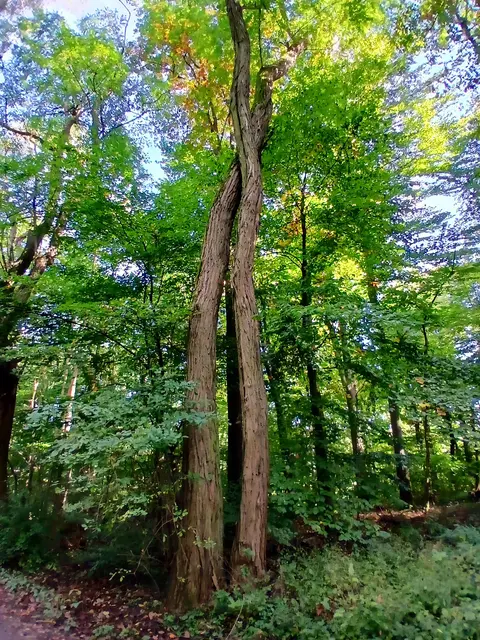 Zwei,  die sich nach vielen Jahren endlich umarmen dürfen.   | Foto: sigischlottke
